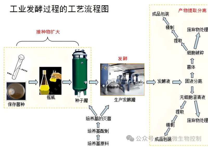 神奇微生物菌剂:现代农业的绿色动力
