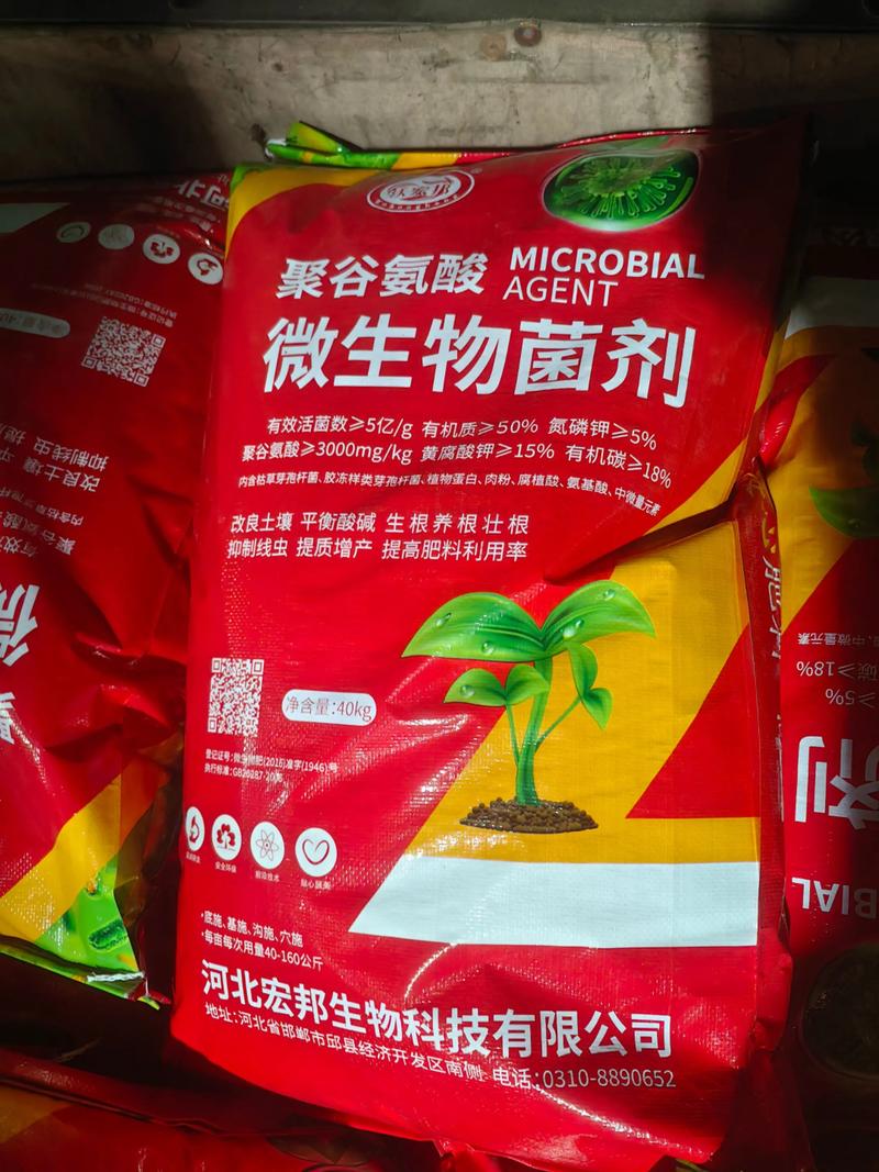 酶制剂生产厂家的发展动态